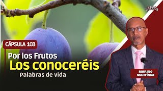 Cápsula 103: Por sus frutos los conoceréis.