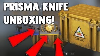 UNBOXING NEW PRISMA KNIFE! (CSGO CASE UNBOXING)