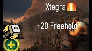 +20 Freehold - Holy Paladin M+ BFA Season 3 (Xtegra)