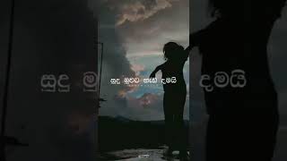 කවියකට පද සොයන | Roshan Fernando | Best Whatsapp Status 🎧🎶 #sasamusic #whatsappstatus