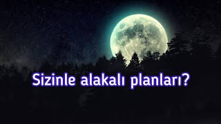 Sizinle alakalı planları neler? #tarot #desteseç