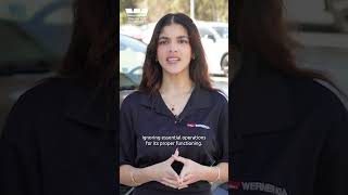 HOW TO USE YOUR CAR WARRANTY? | WERNER KIA