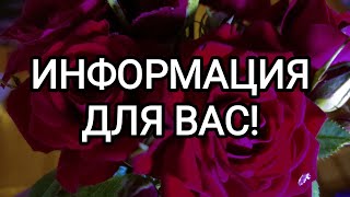 🍀Таро расклад🍀 ИНФОРМАЦИЯ ДЛЯ ВАС!