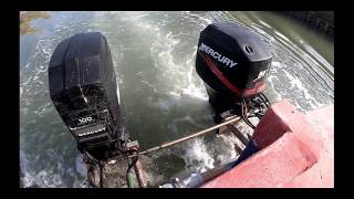 Escursione alla Salina di Comacchio