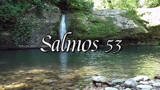 SALMO 53