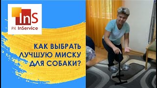 Как выбрать лучшую миску для собаки?