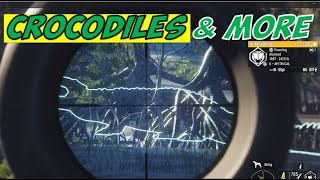 CROCODILE HUNTING & MORE | LIVE STREAM The Hunter Call of the Wild | Old Gamers Layne and Wayne