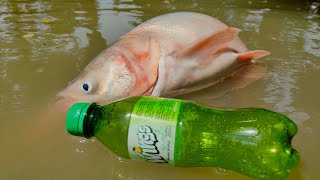 Amazing Hook Fishing Trap | Boy Catching Fish With Plastic Bottle Trap By Hook |Bottle Fishing Video