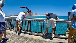 Fisherman Caught the One Fish Everybody Wants to Catch on the Pier!