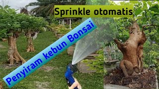 Penyiram Otomatis Kebun Bonsai dengan Sprinkle hand made