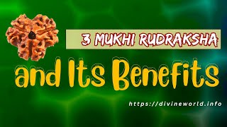 3 Mukhi Rudraksha and Its Benefits