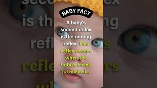 How Babies Find Food: The Rooting Reflex #shorts #facts #baby #babygirl #babyboy