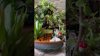 Happy planting #indoorplants #plantslover #indoorplants #plants #garden #gardeningtips #shorts