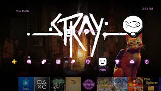 Theme Stray PS4 9.00 or lower