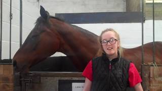 Grace - Level 3 Equine student at Sparsholt College.