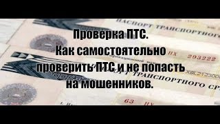 Как самостоятельно проверить ПТС перед покупкой автомобиля. Действующие методы.