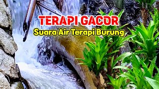 TERAPI GACOR! Suara Gemericik Air, Suara Air Terapi Burung Rajin Bunyi