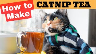 How To Make Catnip Tea 😻