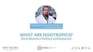 What Are Nootropics? With Dr. Ramon Velazquez, Ph.D. | Mind Lab Pro®