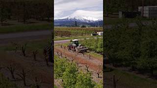 Movin’ and Groovin’ #agriculture #mulching #oregon #orchards #pears #pnwlife #tractor #video #short