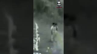 Niños FANTASMAS aparecen de la nada #paranormal #kids #ghosts #aparición #viralvideo