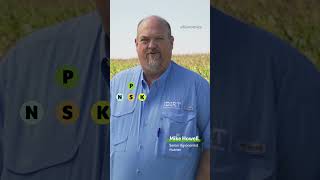 The Importance of Phosphorus for Crop Production #agriculture #agronomy