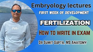 FERTILIZATION : 1st week of development