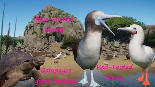 Red-Footed Booby, Blue-Footed Booby and Galapagos Giant Tortoise - Backyard Zoo - Planet Zoo