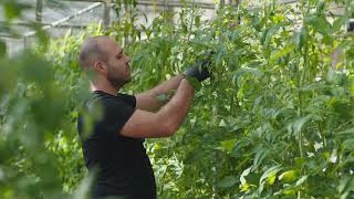 Master Course in Horticulture Genetic and Biotechnology