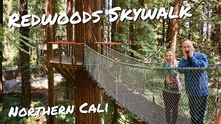 Redwoods Skywalk & Highway 1 on Cali’s North Coast | Back On The Road