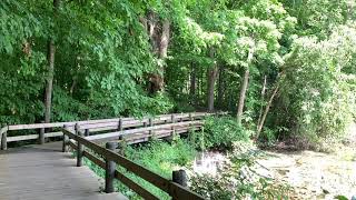 Scenic hiking trails with forests near Detroit, Michigan