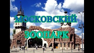 МОСКОВСКИЙ ЗООПАРК ИЮЛЬ 2020 год