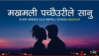 Superhit Nepali song Mero manai KO phul tipi. Nepali dj song.love romance song. the Voice of Nepal.