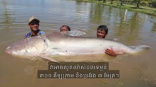 Mekong's Forgotten Fishes Khmer version