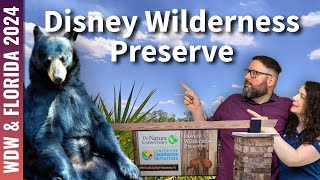 Auf in die Wildnis 🐻 | Disney Wilderness Preserve