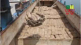 Ces problèmes des filières Mangue et Anacarde en Casamance