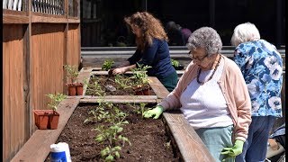 Green Thumb Society