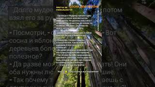 🦉Психология мотивации 🌲🍎, цитаты, саморазвитие, философия