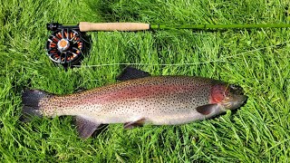 Fly fishing Rockbourne Trout Fishery with my Sunray California Glass Fly Rod 8" 4 weight.