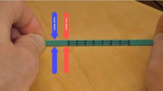 Poisson's Ratio - Brain Waves