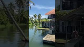 Stay #alappuzha #homestay #river #nature