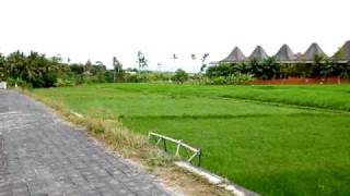 Bali land property for sale Canggu Pererenan 4700 metres freehold land 200 metres from beach