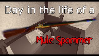 A Day in the Life of a Mule Spammer