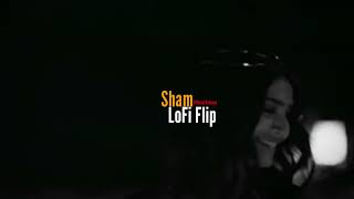 Sham LoFi Flip | Official LoFi Flip | Kritiman Mishra | Nikhil D'Souza | Amit | Sony Music India