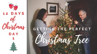 12 Days of Christmas Day 1 ~ Our First Christmas Tree 2021