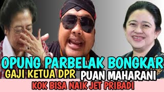 PUAN MAHARANI  NAIK JET PRIBADI !!! BERAPA PENGHASILAN KETUA DPR ??