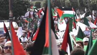 هبة شعبية كبيرة تضامنية نصرة لفلسطين في شوارع الجزائر العاصمة 🇩🇿✌️🇵🇸