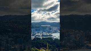 Panoramic View of Wellington (capital city of New Zealand) from Mt. Victoria Lookout #shorts