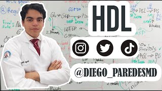 HDL: Transporte Reverso del Colesterol - Bioquímica