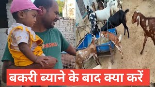 Bakri Byane Ke Baad |Kya Sawdhani Rakhen|Vimalumrao